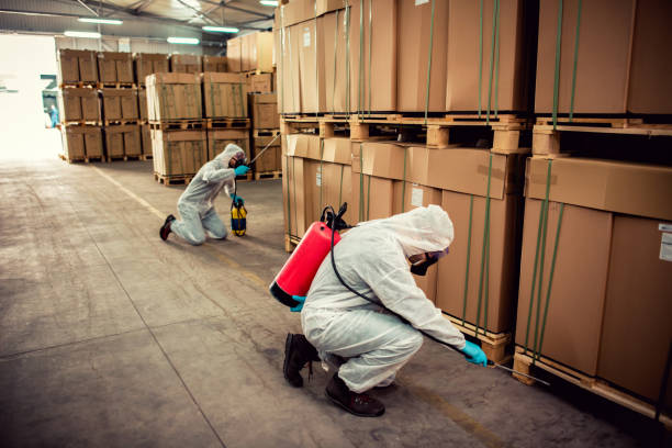 Professional Pest Control in Rexburg, ID
