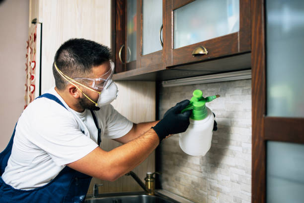 Best Rat Extermination Near Me  in Rexburg, ID