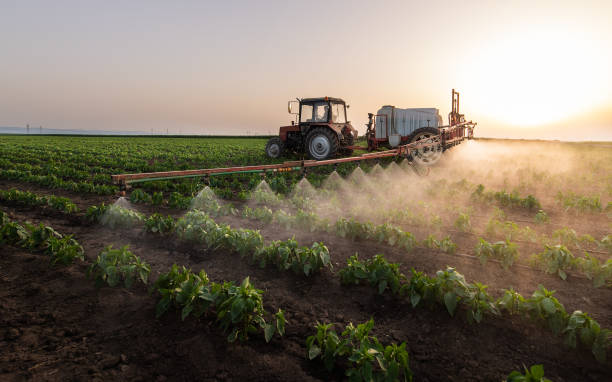 Best Best Pest Control Companies  in Rexburg, ID
