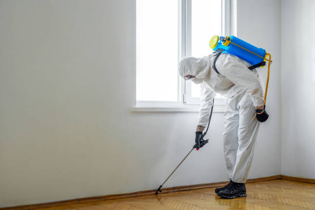 Best Pest Removal Services  in Rexburg, ID