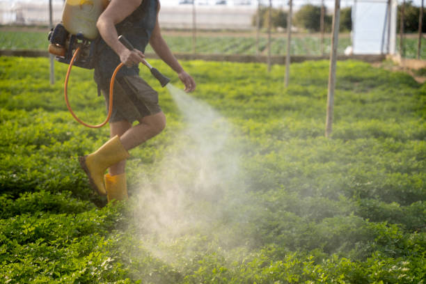Pest Control for Restaurants in Rexburg, ID
