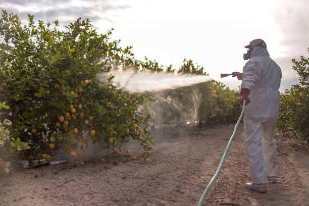 Best Pest Prevention Services  in Rexburg, ID