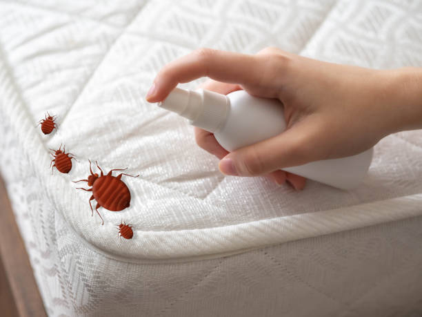 Best Bed Bug Extermination  in Rexburg, ID