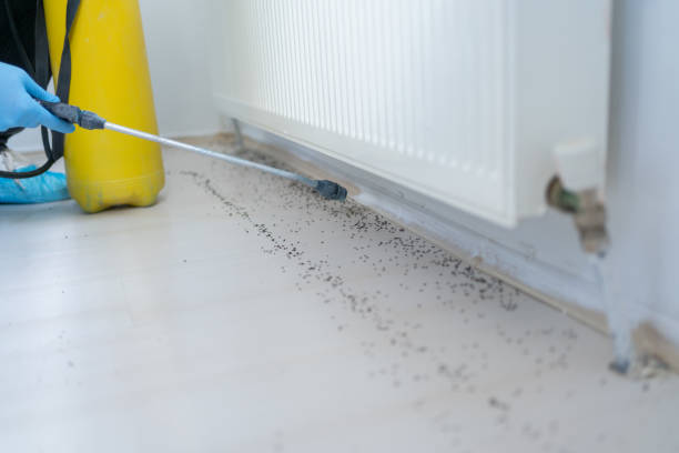 Best Residential Pest Control  in Rexburg, ID